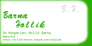 barna hollik business card